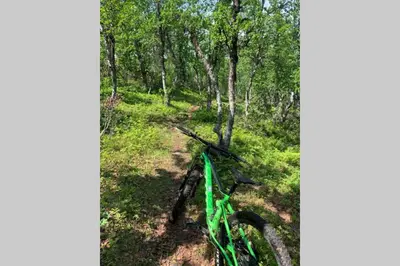 a green bike on a trail in the woods at Super sentral, flott og solrik leilighet i sentrum in Hemsedal