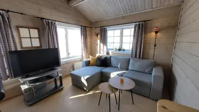 a living room with a couch and a tv at Øen Turistsenter Apartments in Geilo