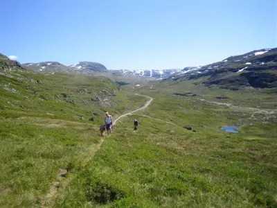 a person riding a horse on a hill with a dog at Seim Camping - Røldal in Røldal