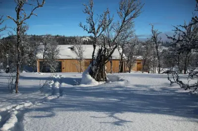 a snow covered yard with a building in the background at Skarvhytta - moderne hytte med flott beliggenhet in Hol