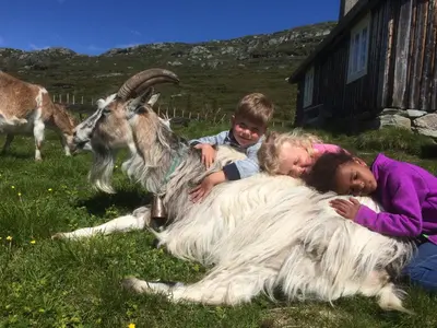 a group of children hugging a goat in a field at Olebu in Skammestein