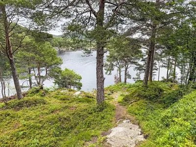 a dirt trail with trees and a body of water at Chalet Svanöy by Interhome in Grimeli