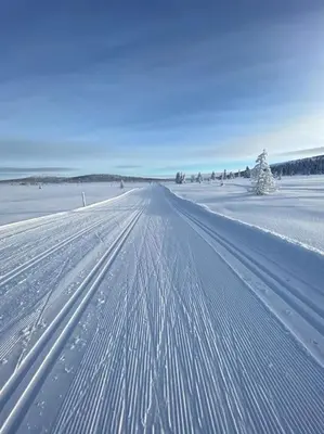 a snow covered road with tracks in a field at Hytte sentralt Ljøsheim, Ringsaker(nær Sjusjøen) in Ringsaker