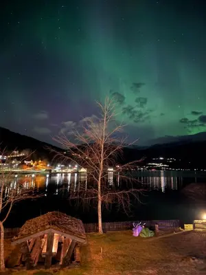 a tree sitting next to a picnic table at night at Olden apartments 2 in Stryn