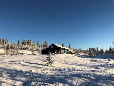 a log cabin in the snow with trees at Skarvebo - cabin with amazing view in Hol