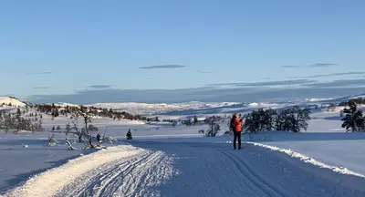 a person on skis in the snow at Venehovda - cabin at 1000 masl in Ål