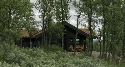a log cabin in the woods with trees at Venehovda - cabin at 1000 masl in Ål