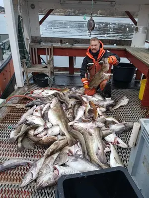 a man sitting on a boat with a bunch of fish at Havglimt in Oksvoll
