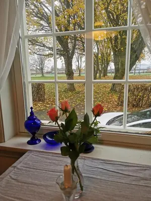 a vase with roses sitting on a table in front of a window at Sjarmerende hus med veldig stort uteareal. in Brekstad