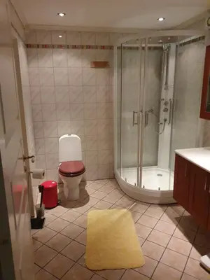 a bathroom with a shower and a toilet and a sink at Sjarmerende feriehus i Olden rett ved fjorden in Stryn