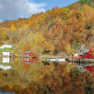 Vågen 1
