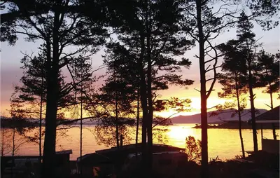 a sunset over a body of water with trees at Nice Home In Sandvoll in Sandvoll