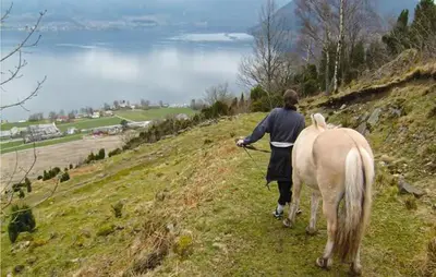 a person walking a horse down a hill at Nice Apartment In Rosendal With Sauna in Rosendal