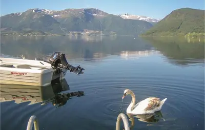 a white swan in the water next to a boat at Cozy Apartment In Rosendal With Sauna in Rosendal