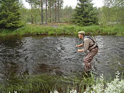 a man standing in a river holding a fishing rod at Great apartment in Trysil, ski inout, wifi, sauna in Trysil