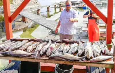 a man standing next to a pile of fish on a table at Lovely Home In Hatlestrand With Kitchen in Hatlestrand
