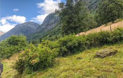 a zebra standing on a grassy hill with mountains in the background at Holiday Home Olden Gjerde in Olden