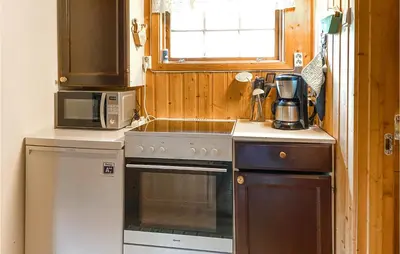 a kitchen with a stove and a microwave at Holiday Home Isfjorden Isfjorden in Isfjorden