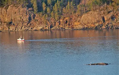 a boat in a large body of water at 4 Bedroom Lovely Home In Kvisvik in Kvisvik