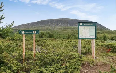 two street signs in a field with a mountain in the background at Holiday Home Heidal Bakketun in Heidal