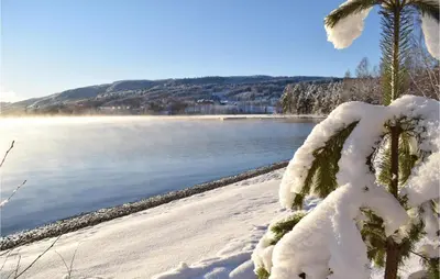 a palm tree covered in snow next to a body of water at 3 Bedroom Amazing Home In Vestsida in Fall