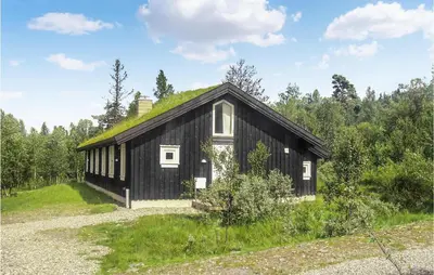 a black house with a grass roof at Holiday Home Gålå Peer Gyntlia Ii in Gålå