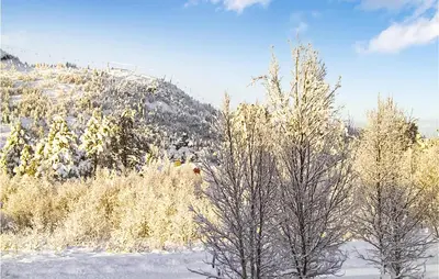 a group of trees in the snow with a mountain at Holiday Home Gålå Peer Gyntlia Iii in Gålå