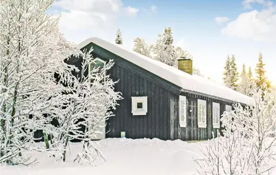 a black building covered in snow with trees at Holiday Home Gålå Peer Gyntlia Iii in Gålå