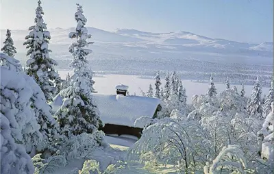 a house covered in snow in a snowy forest at Trollbu Granåsenfefor in Vinstra