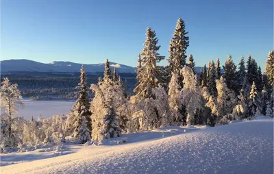 a snow covered forest with snow covered trees on a hill at Trollbu Granåsenfefor in Vinstra
