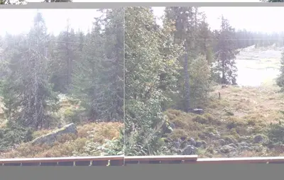 a view of a forest from a window at Holiday Home Sjusjøen Tyrily in Sjusjøen