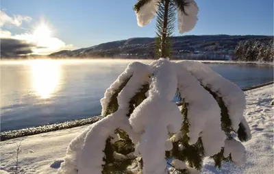a tree covered in snow next to a body of water at Lovely Home In Vestsida With Wifi in Fall