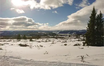 a snow covered field with trees and the sun at Thorleifsbuskogheim in Vang I Valdres