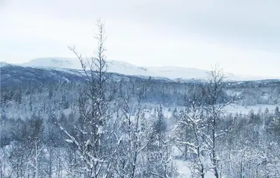 a snow covered forest with trees and mountains at Amazing Home In Hol With Sauna in Hol