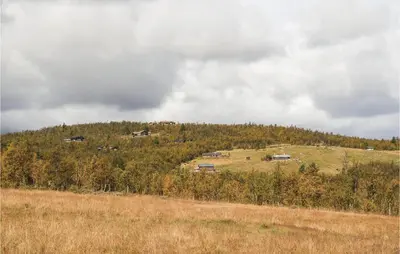 a hill with houses on top of a hill with trees at Tallåsen Dagalifjell in Uvdal