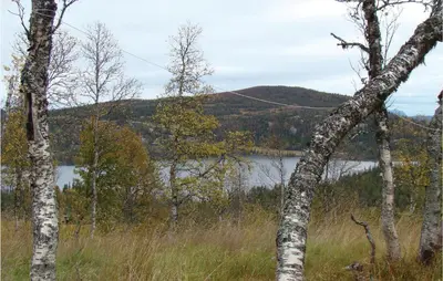 a view of a lake from between two trees at Holiday Home Flå Øvre Reinsjøfjell in Flå