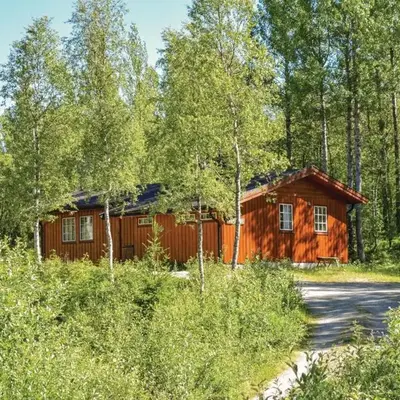 Vinjebu