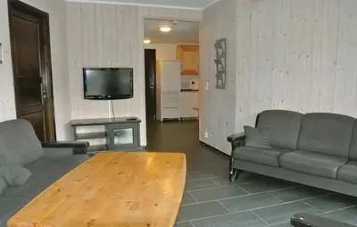 a living room with couches and a table and a tv at Gorgeous Apartment In Hemsedal in Hemsedal