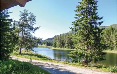 a road next to a river with trees at Sundflathytta in Nesland