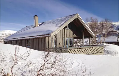 a house covered in snow with snow covered ground at Holiday Home Vinje Skjærdalen