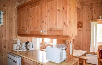 a kitchen with wooden cabinets and a white appliance at Awesome Home In Rauland With Kitchen in Rauland