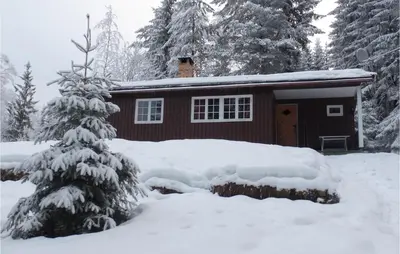 a cabin in the snow with a snow covered tree at Holiday Home Hurdal Steinsjøveien in Hurdal