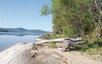 a tree branch laying on the side of a body of water at Haug Isakplassen in Steinkjer