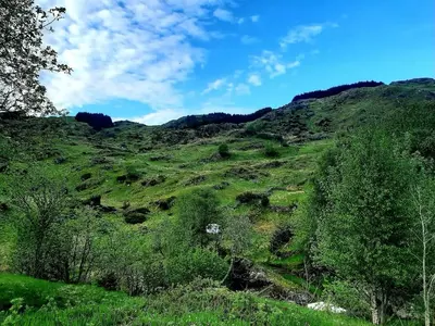 a green hillside with trees and bushes on it at Guesthouse in Manger, Radøy Island in Kollstad