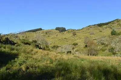 a hill with green grass and trees on it at Guesthouse in Manger, Radøy Island in Kollstad