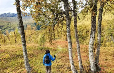 a woman walking through a field with trees at 3 Bedroom Amazing Home In Vossestrand in Vossestrand