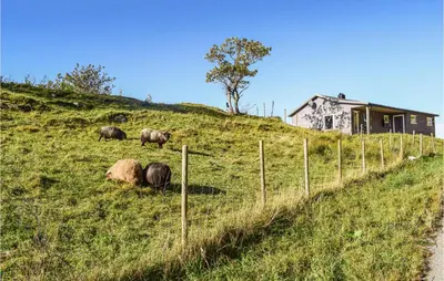 a herd of animals grazing on a grassy hill at Valvik in Tansøy