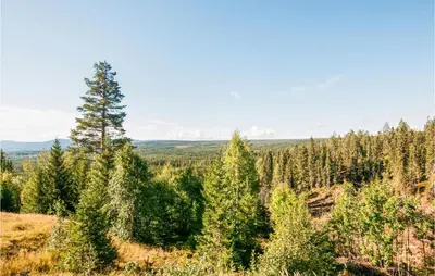 a view of a forest of trees on a hill at Pet Friendly Home In Rena With Wifi in Rena