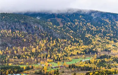 an autumn view of a mountain with trees at Amazing Home In Øyer With Kitchen in Øyer