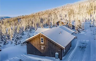 a cabin in a snow covered forest with trees at Stunning Home In Øyer With Wifi in Øyer